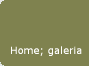 Home; galeria