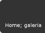 Home; galeria