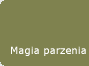 Magia parzenia